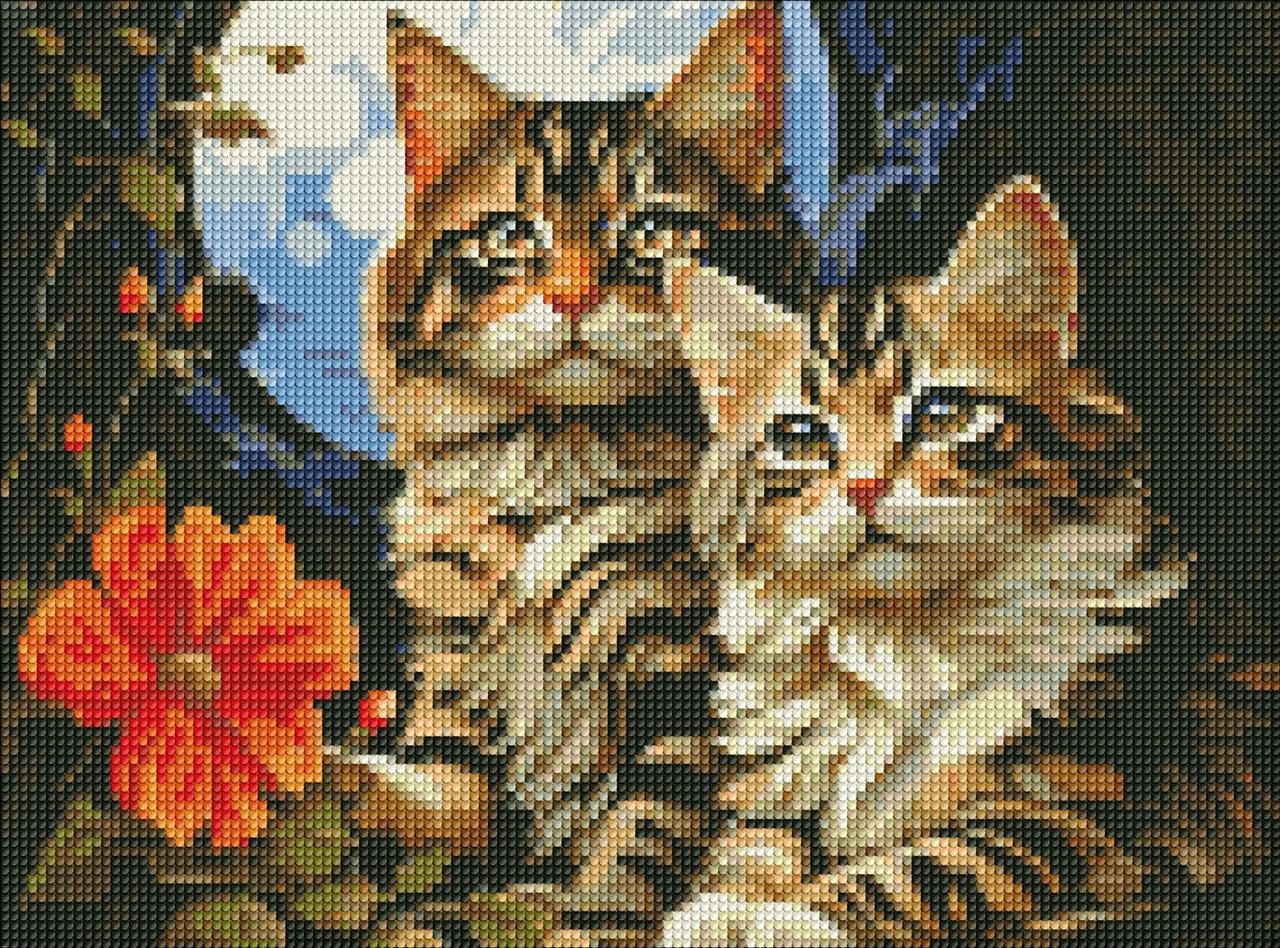 Алмазная мозаика/вышивка Ideyka Волшебные котики 30х40 см (AMO 7853)
