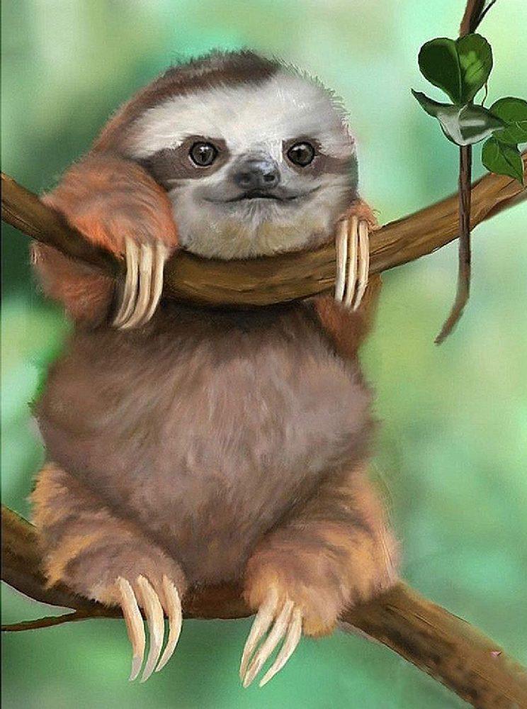 Алмазная мозаика Милый ленивец 30x40 см (22029)
