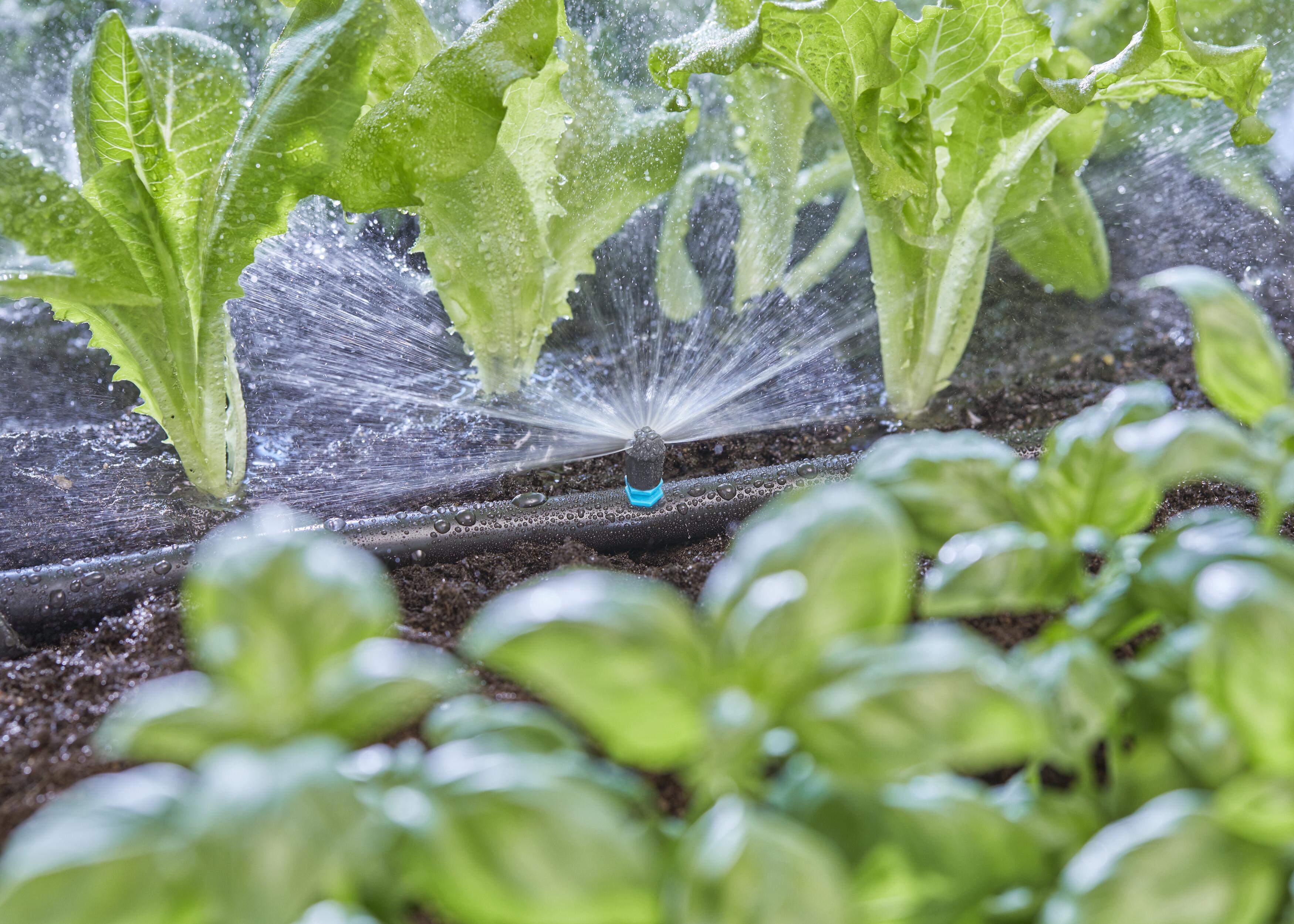 Мікронасадка Gardena Micro-Drip-System секторна 180° 5 шт. (13321-20) - фото 2