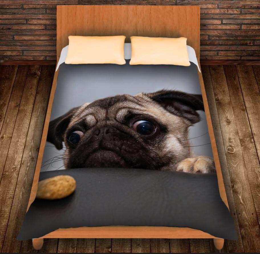 Плед с 3D принтом Мопс и печенюшка 150x200 см (epi_0162)