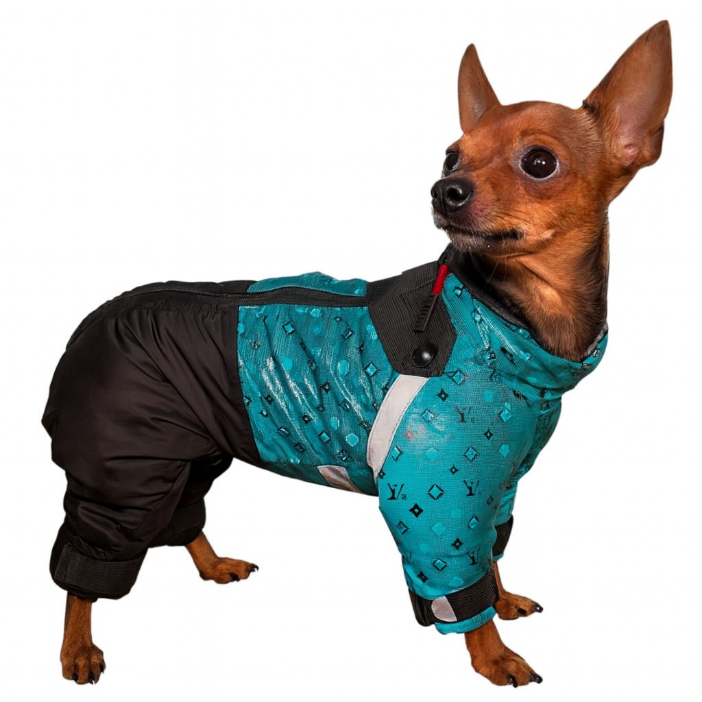 Комбінезон для собак утеплений Diego Snow Sintepon Print M р. 1 Бірюзовий (124181939)