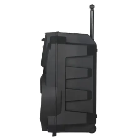 Колонка портативная XPRO MD13-12L 30 Вт USB/SD/FM радио/Bluetooth/1 микрофон/ДУ (MER-15728) - фото 3