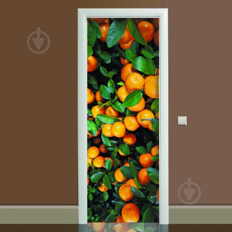 Наклейка на двері Zatarga Цитрус 01 650х2000 мм Помаранчевий (Z180068 dv)