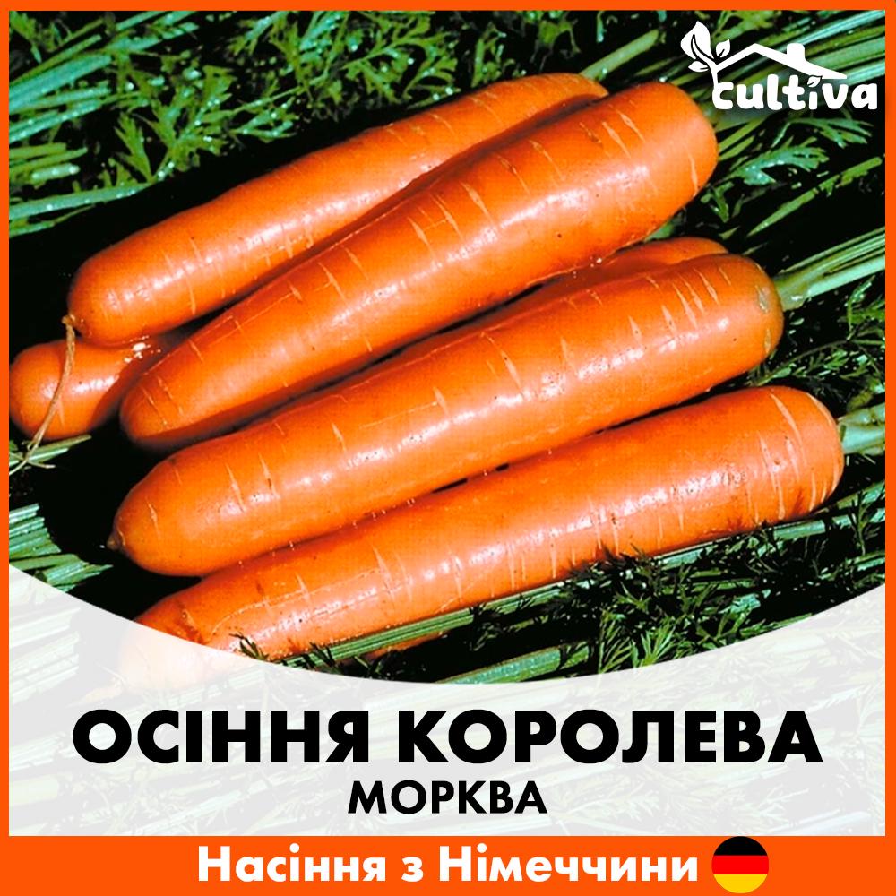 Семена моркови Satimex Осенняя Королева 10 г (R50219)