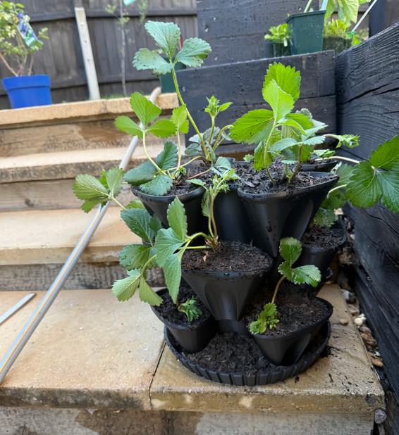 Горщик садовий вертикальний на чотири секції Чорний (0039) - фото 2 Горщик садовий вертикальний на чотири секції Чорний (0039) - фото 2