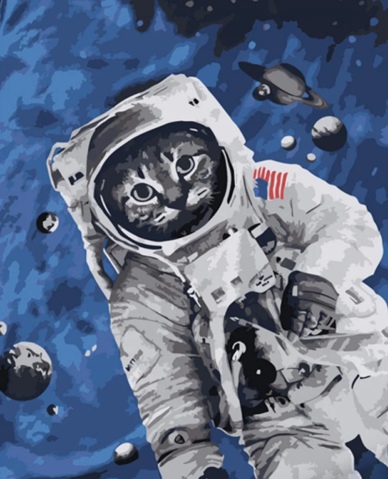 Картина по номерам Strateg Кот в космосе 40x50 см (DY351)