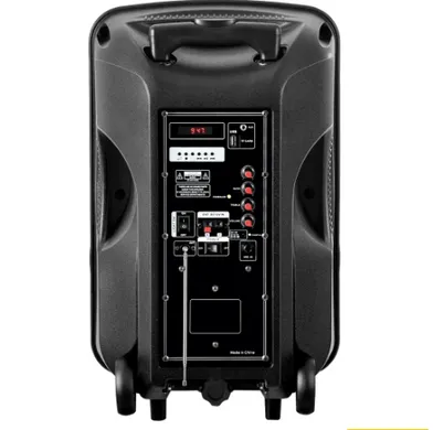 Колонка портативная XPRO MD19-12L 30 Вт USB/SD/FM радио/Bluetooth/1 микрофон/ДУ (MER-15725) - фото 5