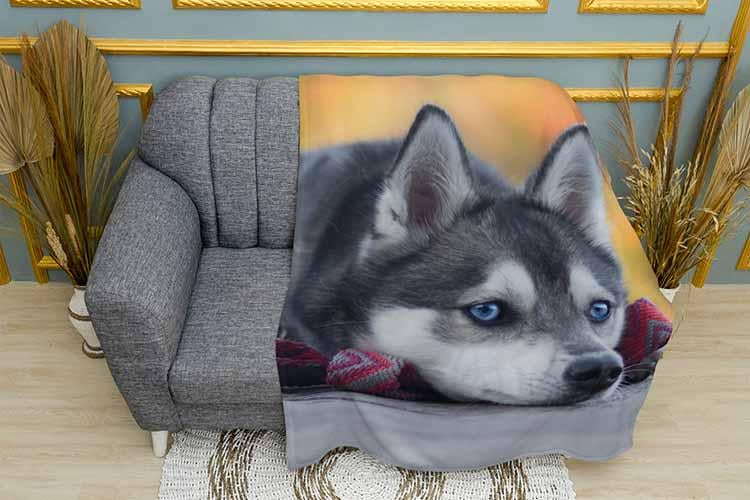 Плед Little Husky плюш однослойный 135х150 см (113466)