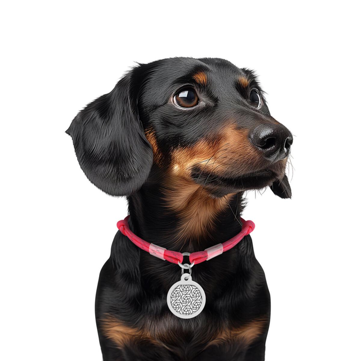 Шнурок для адресника з паракорду Waudog Smart ID світловідбиваючий S D 4 мм 25-45 см Рожевий (60387 Col)