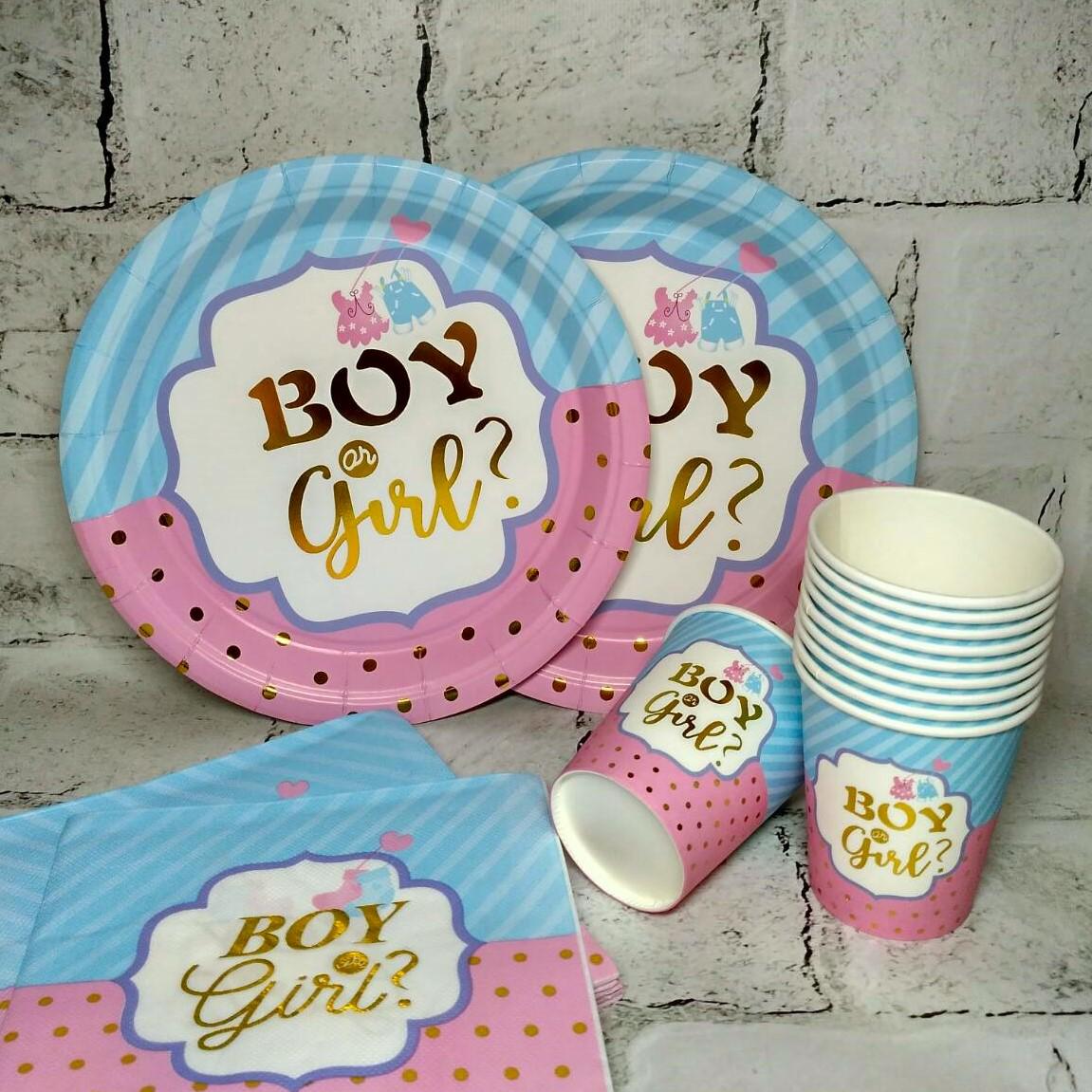 Набор одноразовой посуды для праздника Baby shower на 10 персон Розовый с голубым (15650)