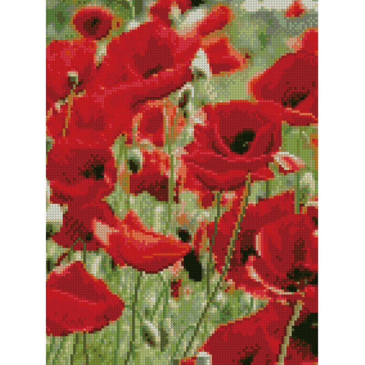 Алмазна картина Strateg Макове поле HX124 30x40 см (MTT-144774)