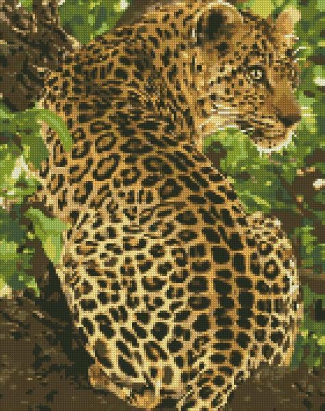 Алмазная мозаика Идейка Леопард 40х50 см (AMO7118)