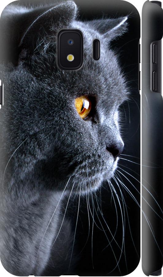 Чехол на Samsung Galaxy J2 Core Красивый кот (3038m-1565-42517) Чехол на Samsung Galaxy J2 Core Красивый кот (3038m-1565-42517)