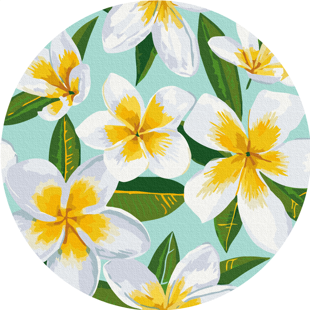 Картина по номерам Brushme Плюмерия M 30 см (RC00046M)