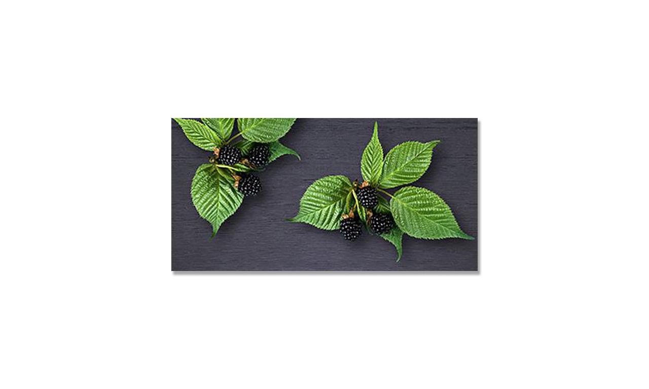 Наклейка вінілова на стіл Zatarga Ожина та Малина 600х1200 мм (1294193497)