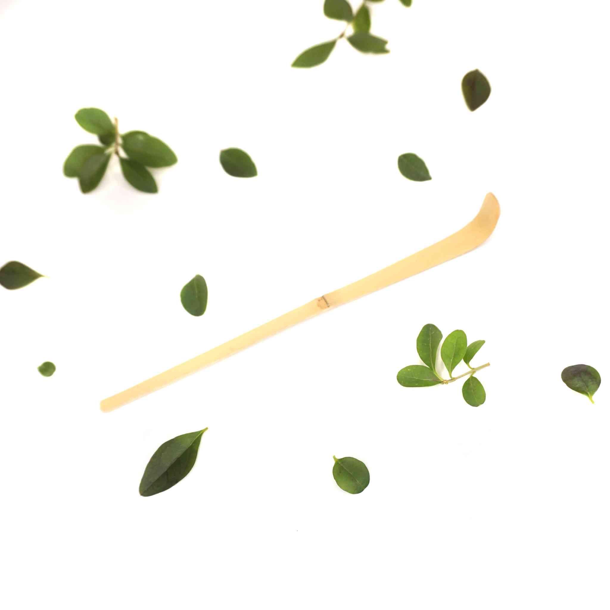 Ложка мірна бамбукова для Матчі Чашаку (ASN-00700) - фото 1