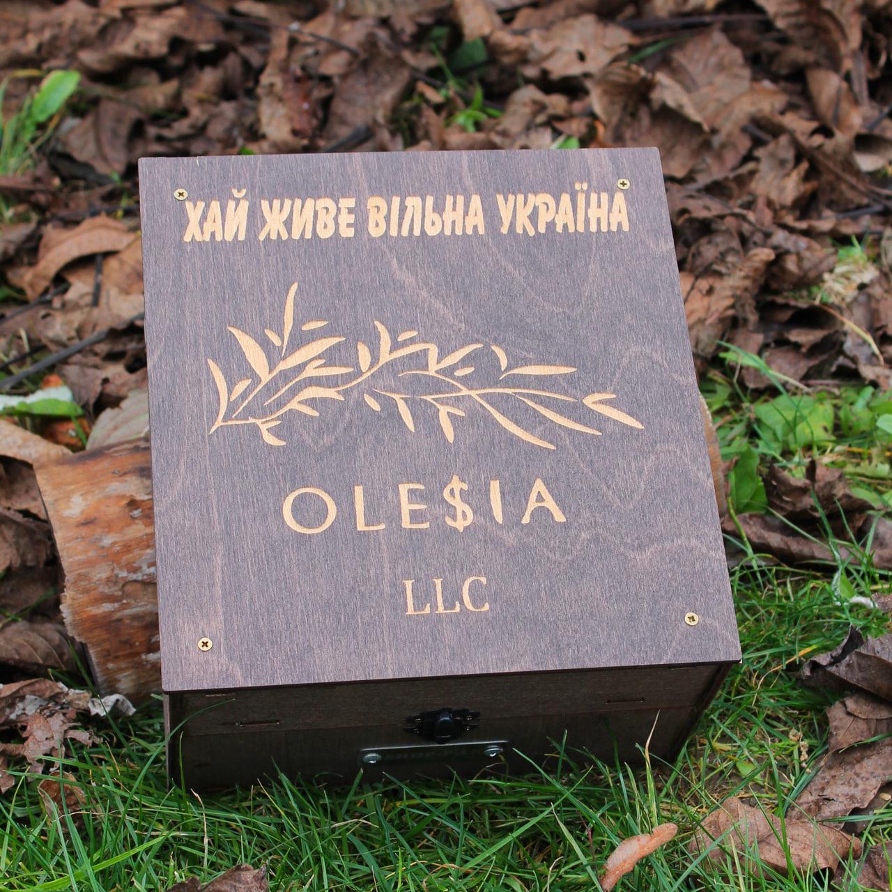 Наливатор для напоїв SHOP-PAN з музикою та вбудованим акумулятором на 6 чарок (14163742) - фото 6