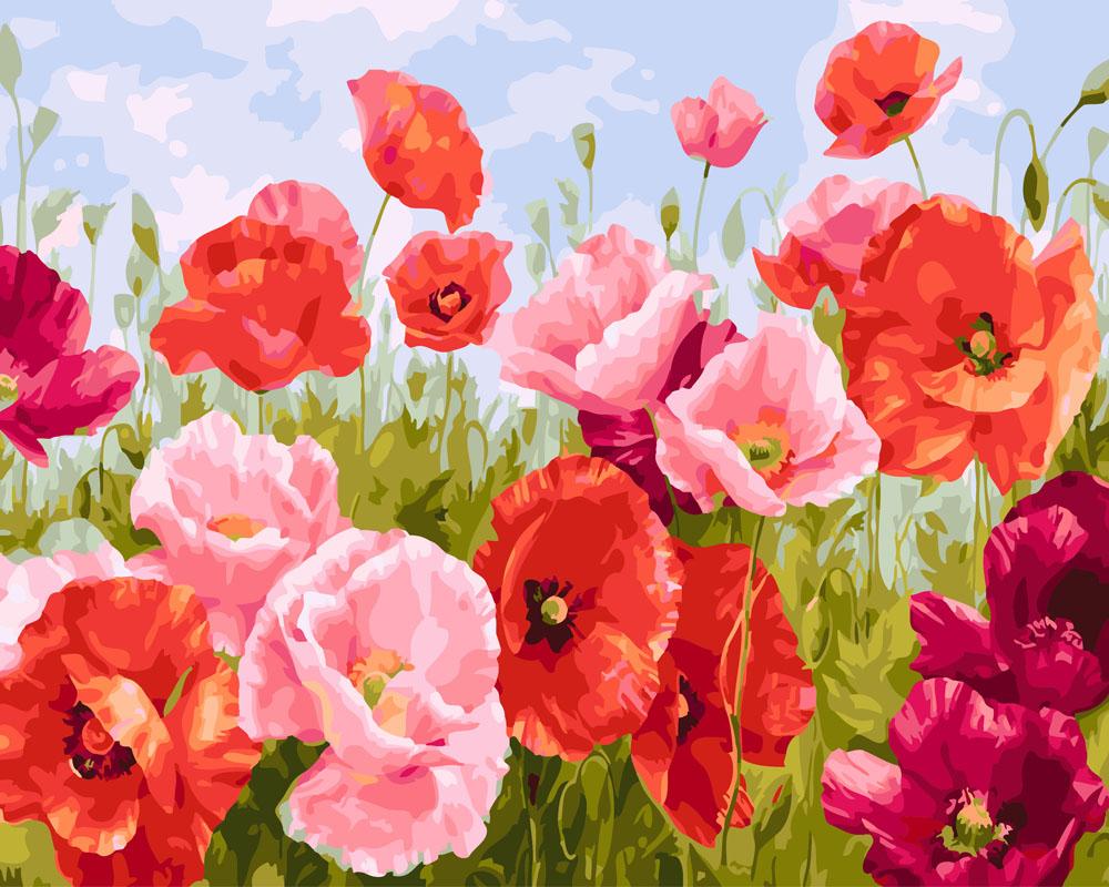 Картина по номерам Brushme Маковое поле 40x50 см без коробки (BK-GX26187)