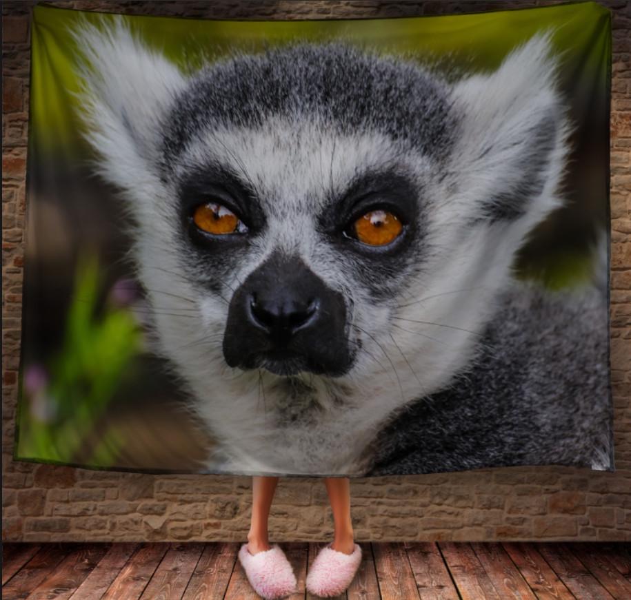 Плед с 3D принтом Лемур 150x200 см (epi_1776)