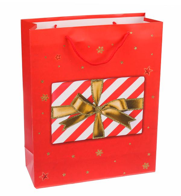 Новогодний пакет Gift 18x24x85 см ламинированный картон