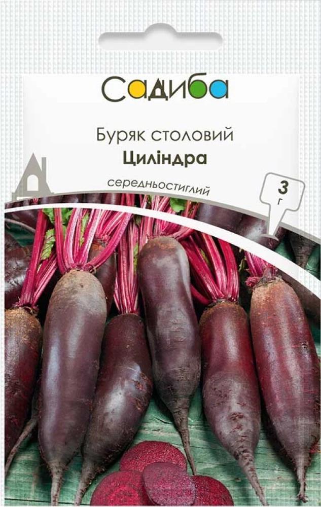 Свекла столовая Цилиндра Частный дом 3 г (37163747)
