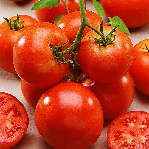 Семена Томат Florium Геркулес (17107)