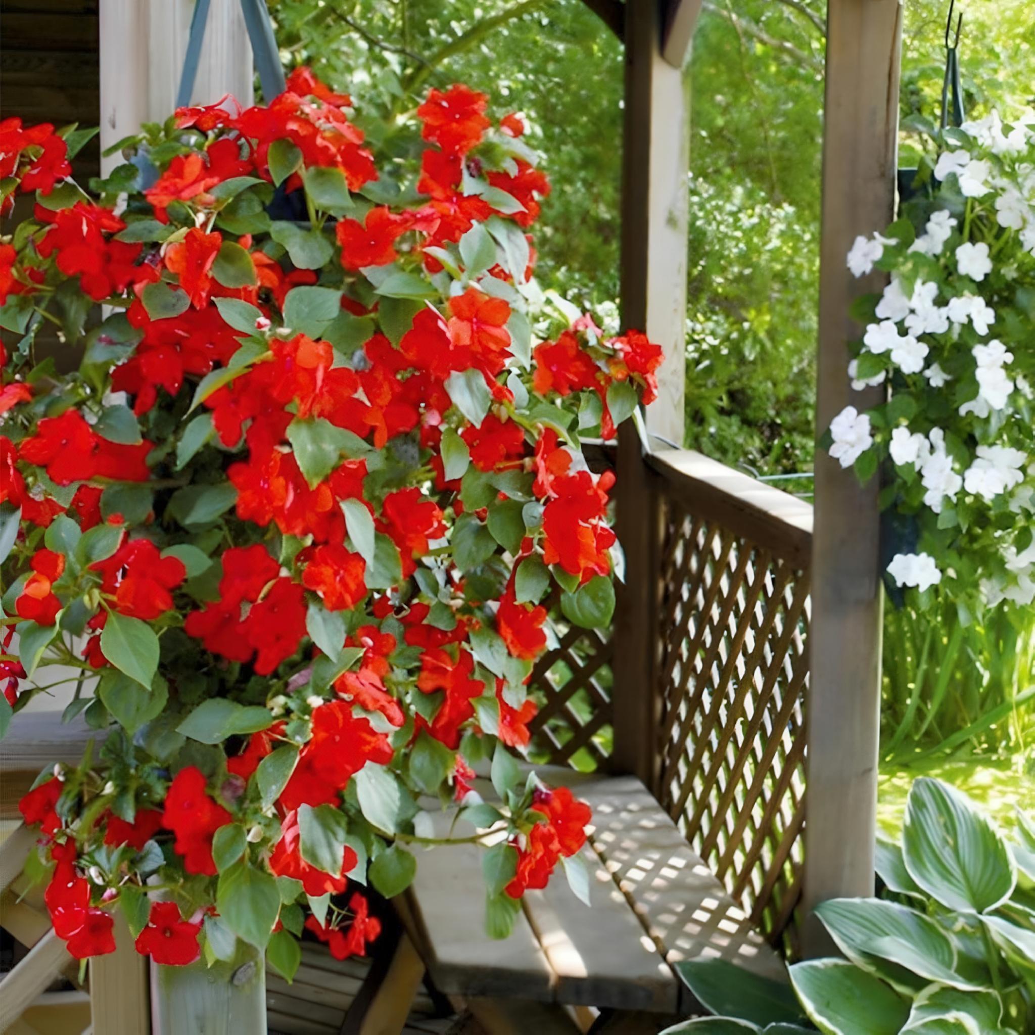 Підвісний мішок для вирощування рослин/ягід/овочів та квітів багаторазовий - фото 4 Підвісний мішок для вирощування рослин/ягід/овочів та квітів багаторазовий - фото 4