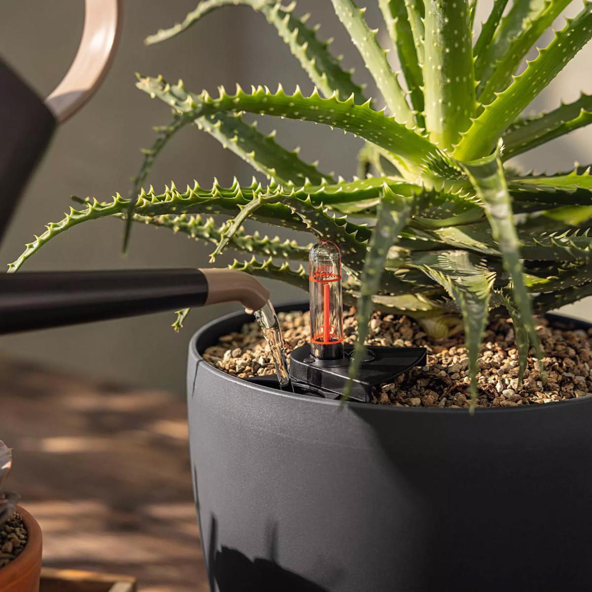 Субстрат Lechuza BASICPON 6 л (19551) - фото 4