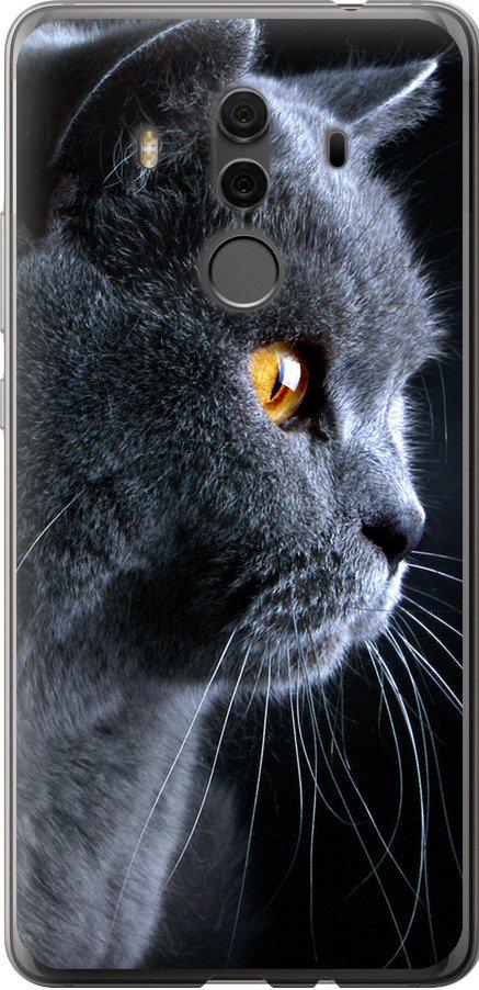 Чохол на Huawei Mate 10 Pro Гарний кіт (3038t-1138-42517)