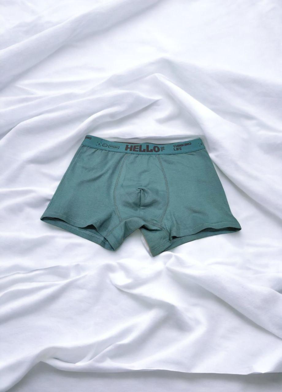 Трусы мужские Hello Зеленый (642-48)