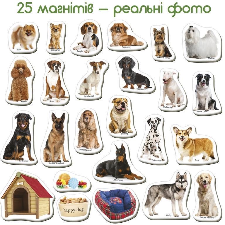 Набір магнітів розвиваючих Magdum Породи собак ML4031-20EN 24 фотомагніти (RLT46568) - фото 2 Набір магнітів розвиваючих Magdum Породи собак ML4031-20EN 24 фотомагніти (RLT46568) - фото 2