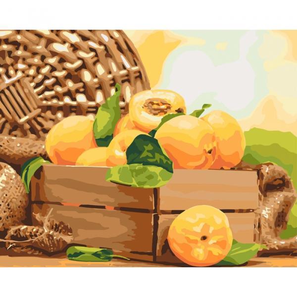 Картина по номерам Идейка Натюрморты Золотой абрикос 40х50 см в термопакете (КНО5565-mt)