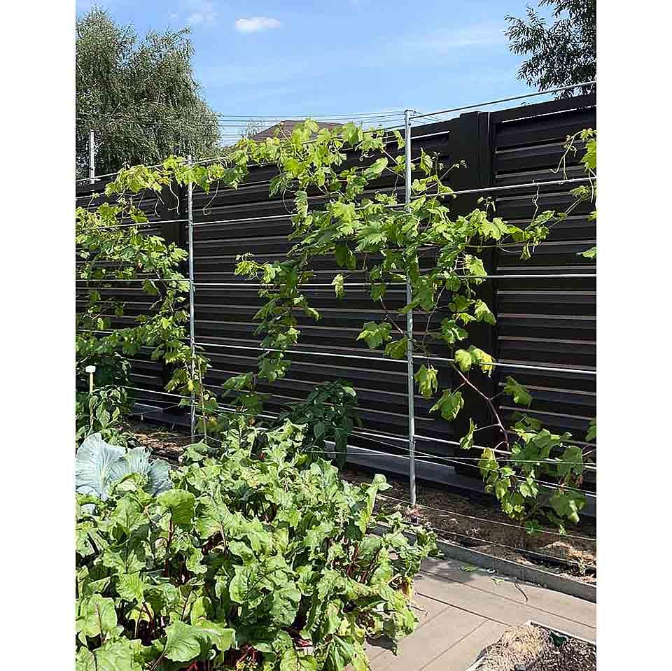 Опора для растений шпалеры садовые 2800х6000 мм d 28 мм/d 12 мм (ШС-D28/D12-2800*6000) - фото 5