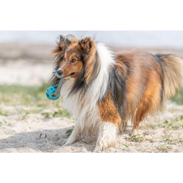 М'яч Trixie у вигляді сотна мотузці для собак 6х23 см (TX-33545) - фото 4 М'яч Trixie у вигляді сотна мотузці для собак 6х23 см (TX-33545) - фото 4