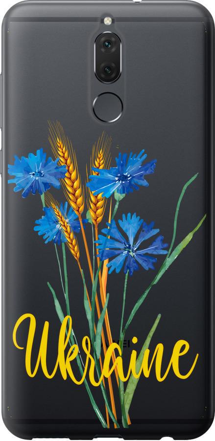 Чехол на Huawei Mate 10 Lite Ukraine v2 (5445u-1240-42517)