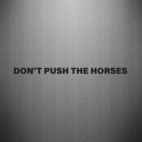 Наклейка Don't push the horses 45x2,5 см (27975737)