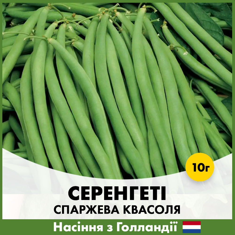 Насіння спаржева квасоля Syngenta Серенгеті 10 г (00162)