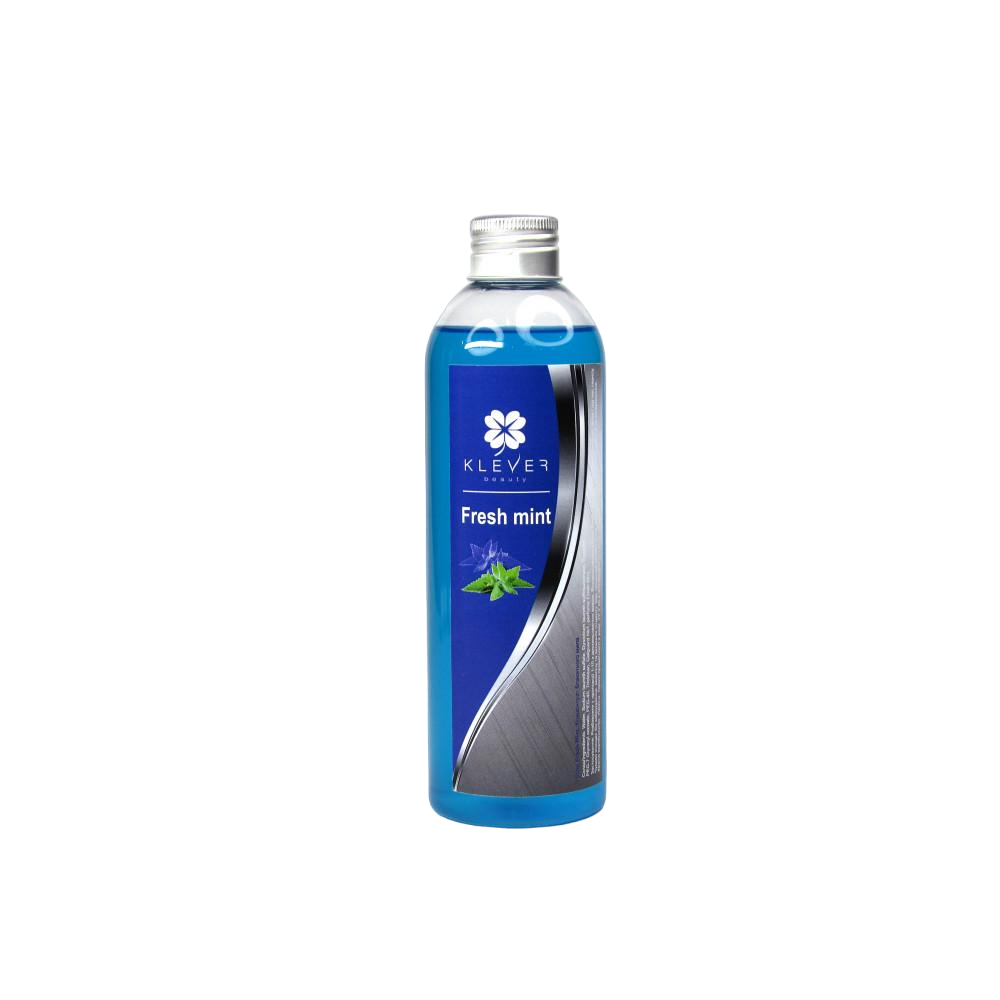 Мыло-антисептик FRESH MINT 250 мл (4113)
