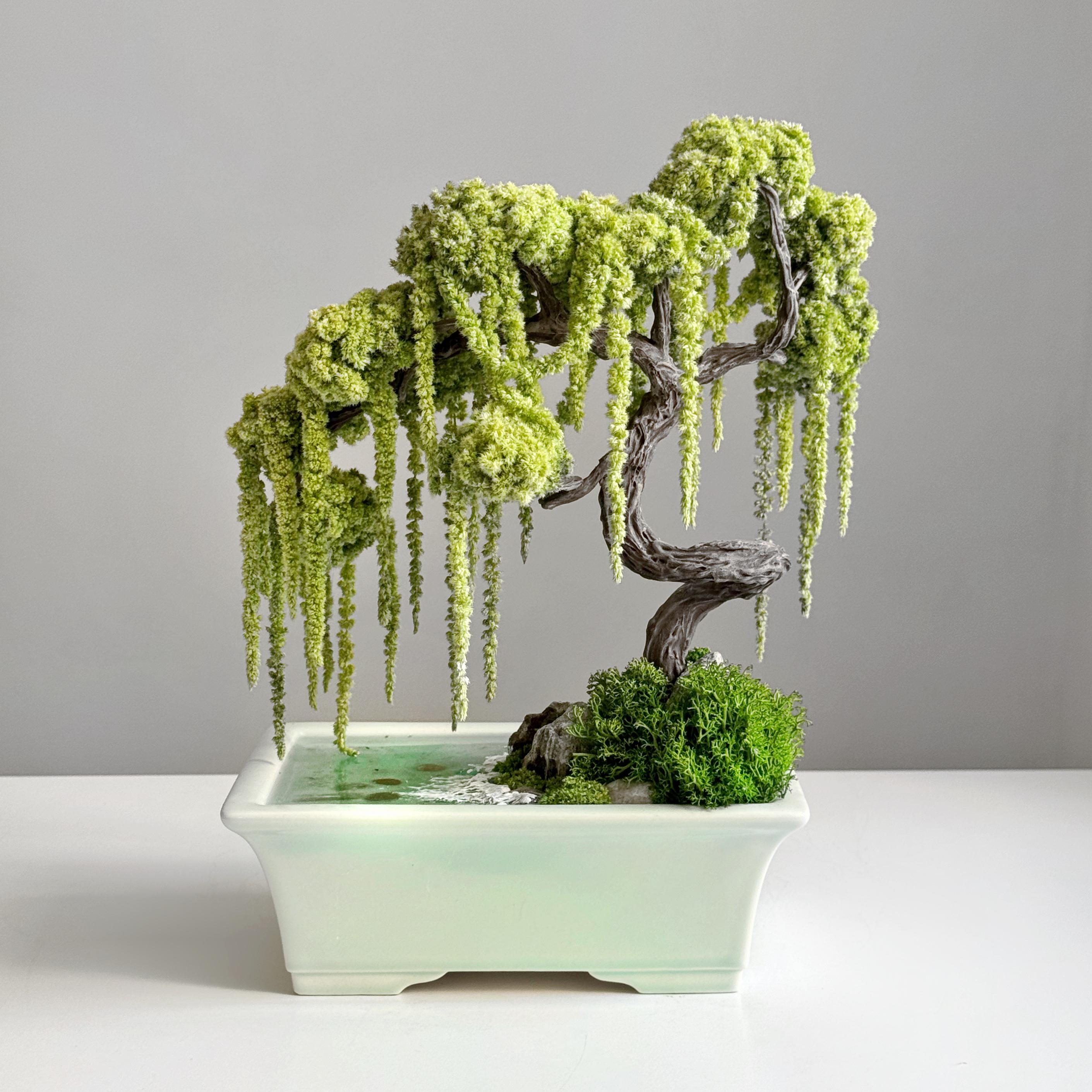 Дерево Бонсай зі стабілізованих рослин 30х25 см