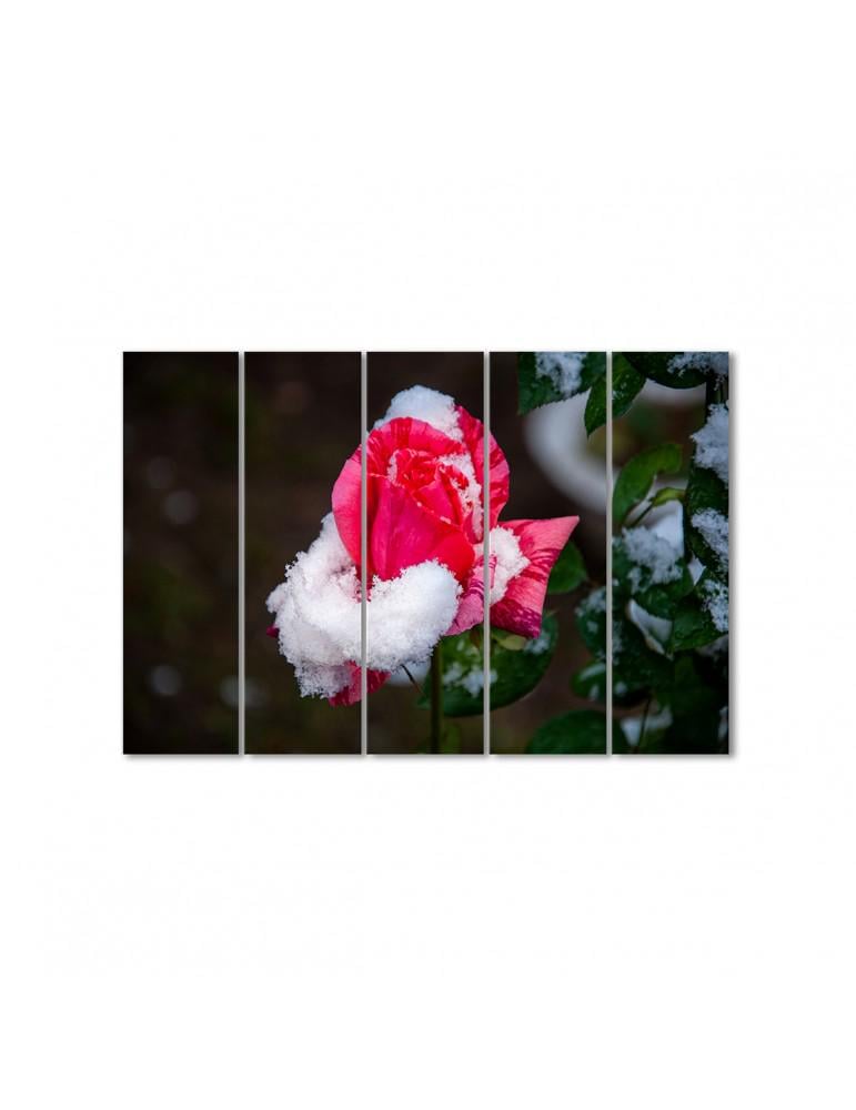 Картина модульная Роза в снегу 5 модулей 90x135 см