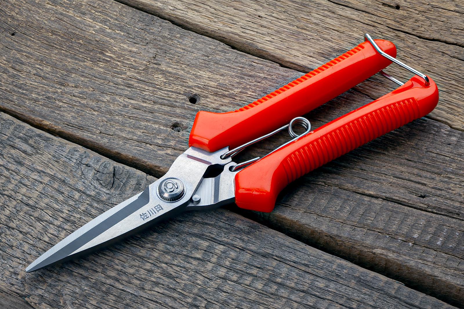 Секатор-ножиці садові Sagawata з нержавіючої сталі 190 мм (907) - фото 8 Секатор-ножиці садові Sagawata з нержавіючої сталі 190 мм (907) - фото 8