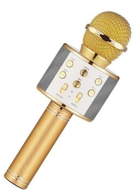 Караоке-мікрофон портативний DM Karaoke WS-858 з Bluetooth (3996)