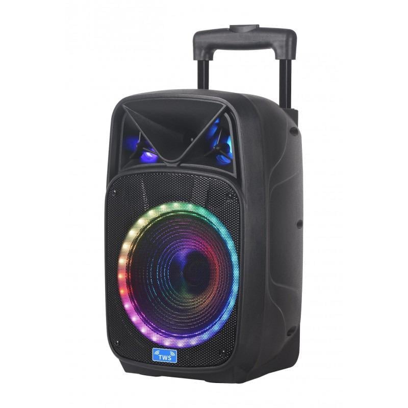 Портативная акустическая система TWS W1308 RGB 8" 10 W с микрофоном (98fedd9c)