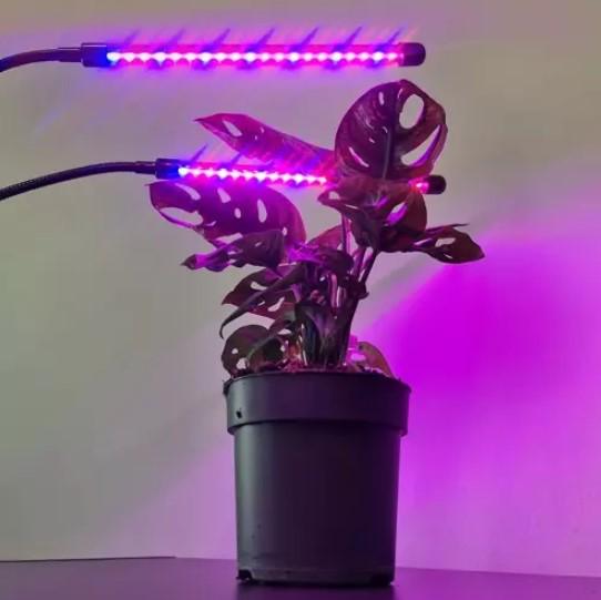 Лампа для роста растений Gardlov 19241 20 LED 2 шт. (29191343) - фото 9 Лампа для роста растений Gardlov 19241 20 LED 2 шт. (29191343) - фото 9