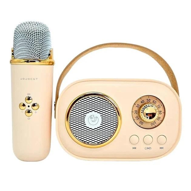 Колонка Ретро-Караоке C20 PLUS с беспроводным микрофоном Bluetooth Бежевый (9162-1073)