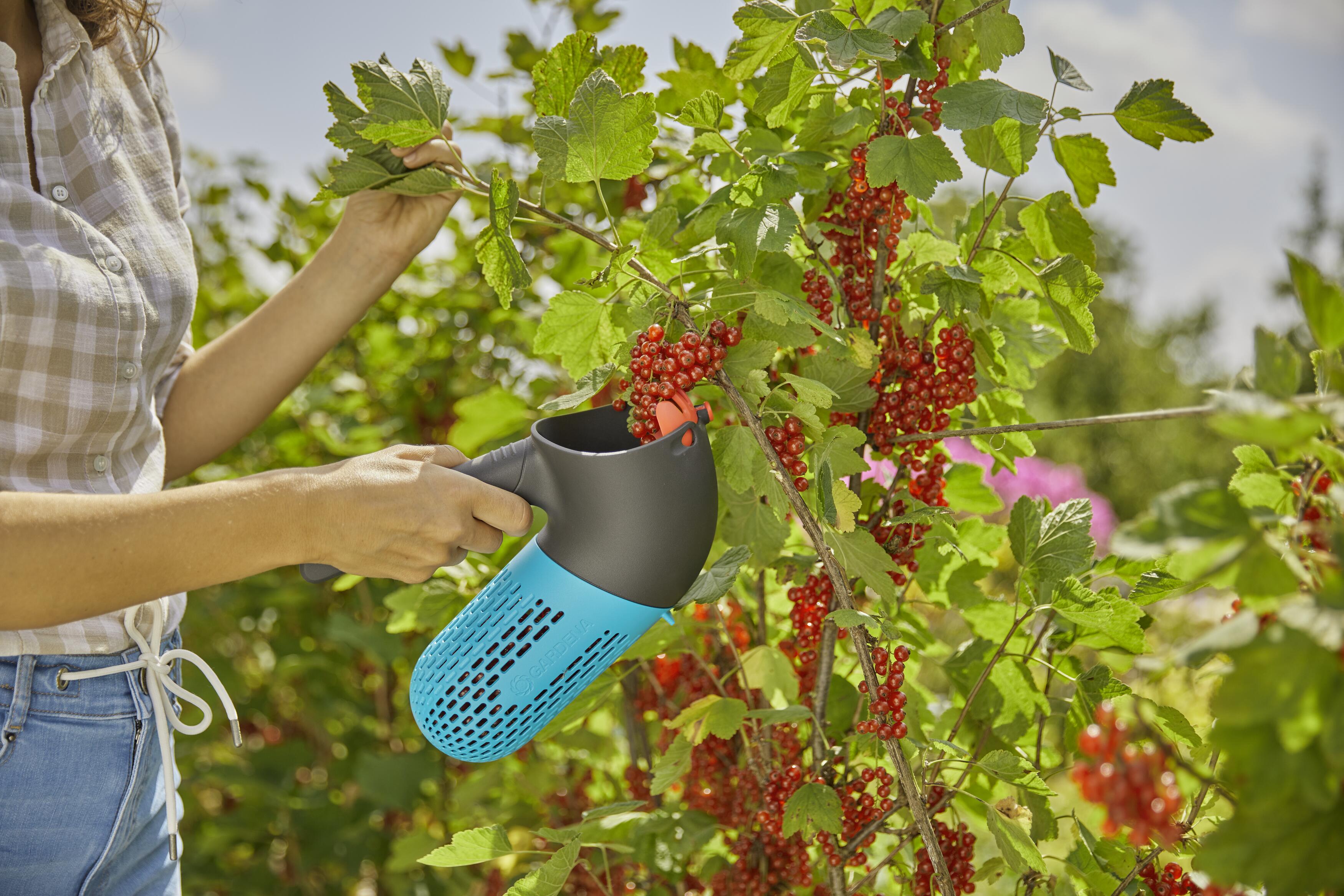 Плодосъемник для ягод Gardena Combisystem Berry Picker с телескопической ручкой 210-390 см (17400-30) - фото 4