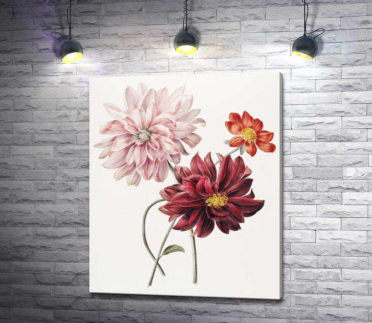 Картина ArtPoster Пестрые цветы георгин 107x130 см Модуль №1 (004225) Картина ArtPoster Пестрые цветы георгин 107x130 см Модуль №1 (004225)