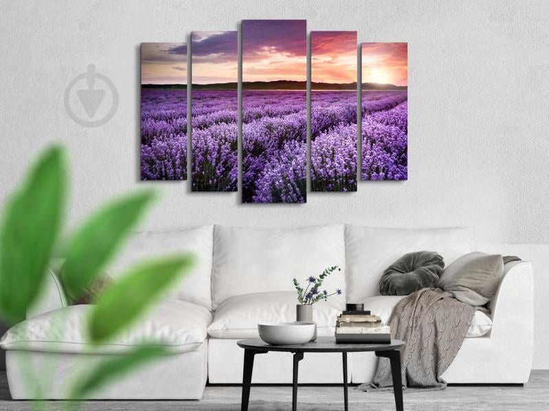 Модульна картина Poster-land Лаванда Прованс Art-326_5 (80х118см)
