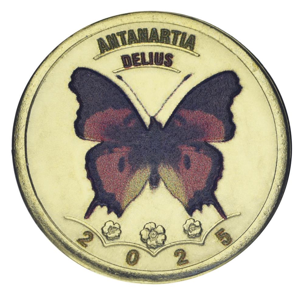 Коллекционная монета Остров Пальма 5 дукатов 2025 UNC Испания Канарские острова Бабочка-Antanartia delius (М21934) Коллекционная монета Остров Пальма 5 дукатов 2025 UNC Испания Канарские острова Бабочка-Antanartia delius (М21934)