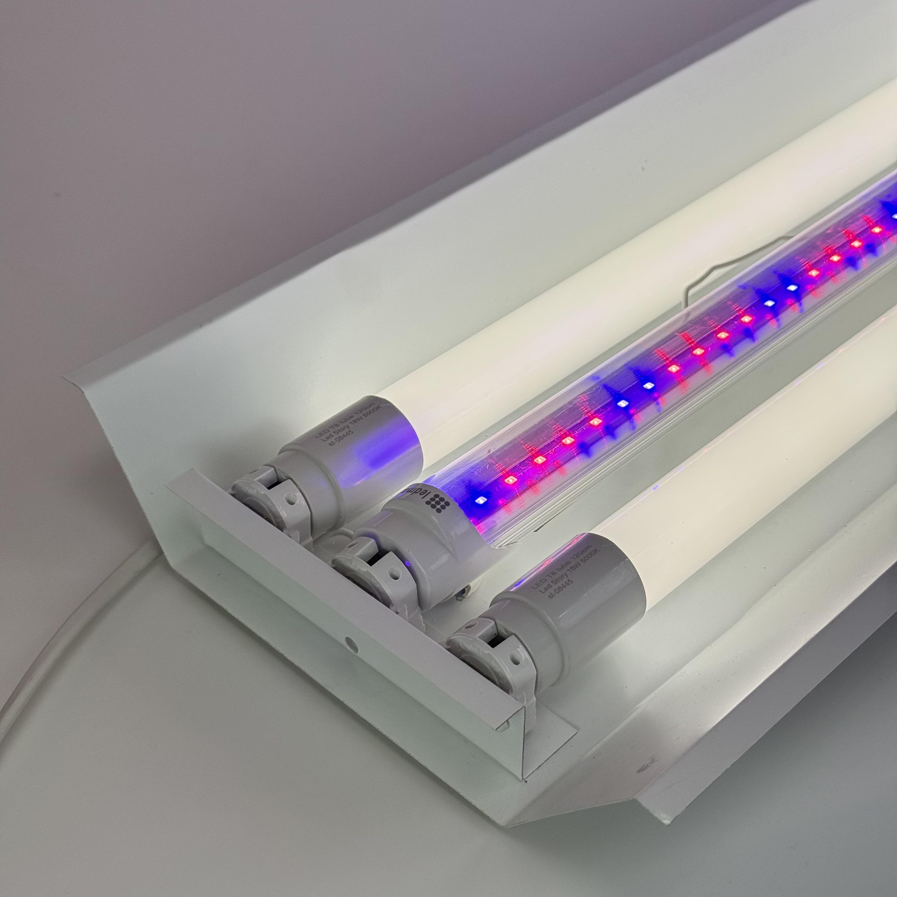 LED-светильник для растений Led Story на 3 лампы Т8 1,2 м Fito и 2х5000К 52W (37368784)